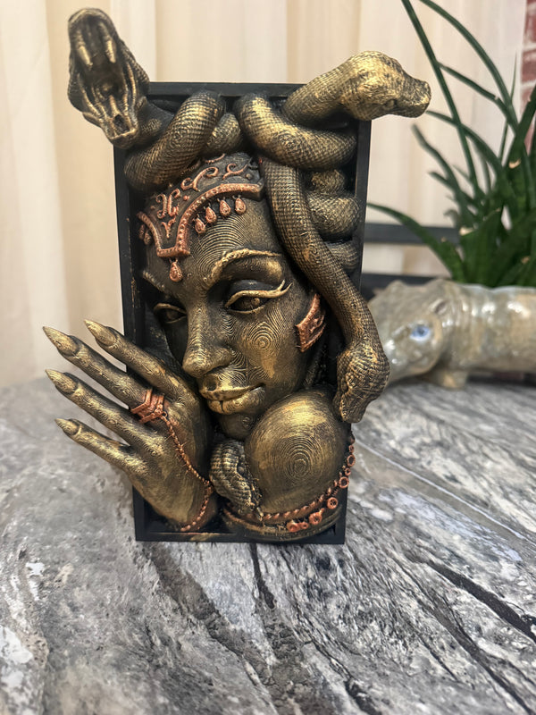 Medusa hand painted book nook Gold